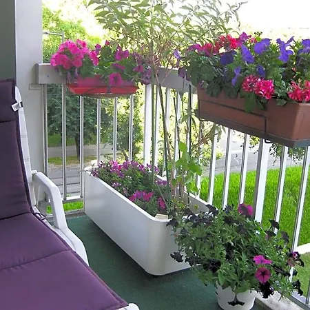 Bed & Breakfast D'hotes Dans